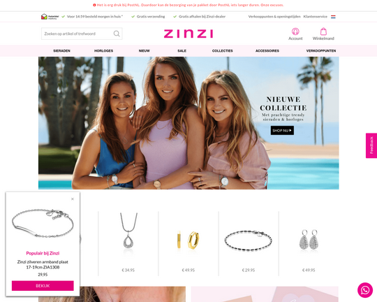 Zinzi Logo